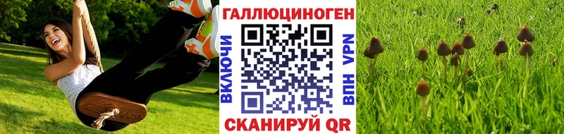 Галлюциногенные грибы MAGIC MUSHROOMS  Купить где  Липки 